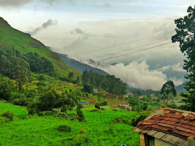 Ooty landscape