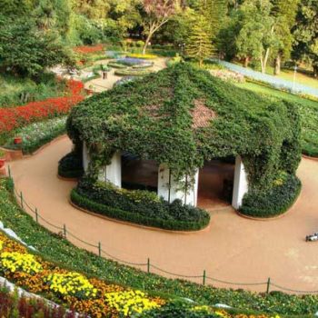 Places To Visit in Ooty