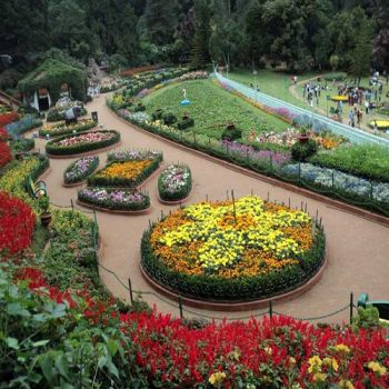Places To Visit in Ooty