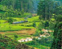 Ooty Hill Station