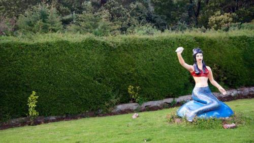 Ooty Doddabetta Images