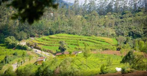 Ooty Doddabetta Images